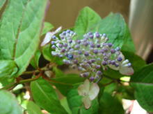 image1425.jpg