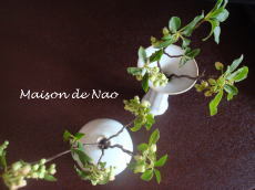 image2085.jpg
