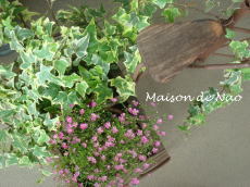image2195.jpg