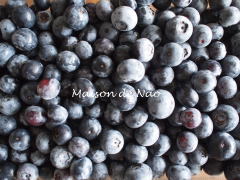 image2223.jpg